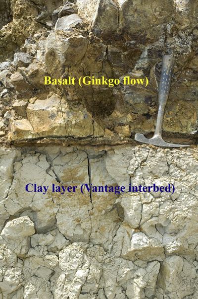 Closeup of basalt/clay contact zone