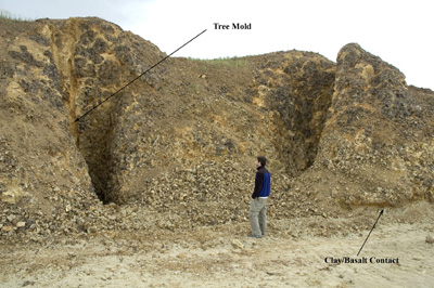 Log excavations in quarry