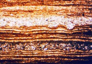 McAbee sediments in cross section varve
